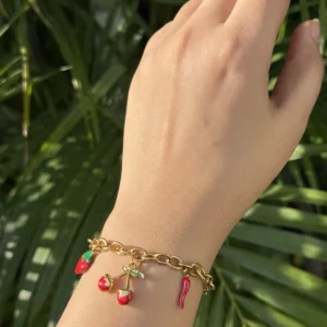 Stainless Steel Charms Bracelet BS-24