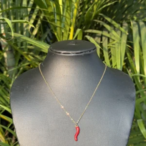 Chilli Stainless Steel Charm Neckpiece NS-10