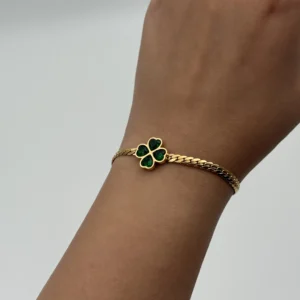 Clove Stainless Steel Bracelet BS-25